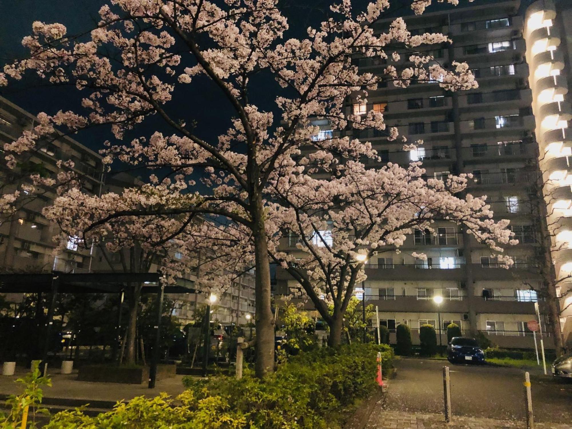 Jl 東京 House - 駐車場付き築浅のまるごと貸切住宅 Prefektura Tokio Exteriér fotografie