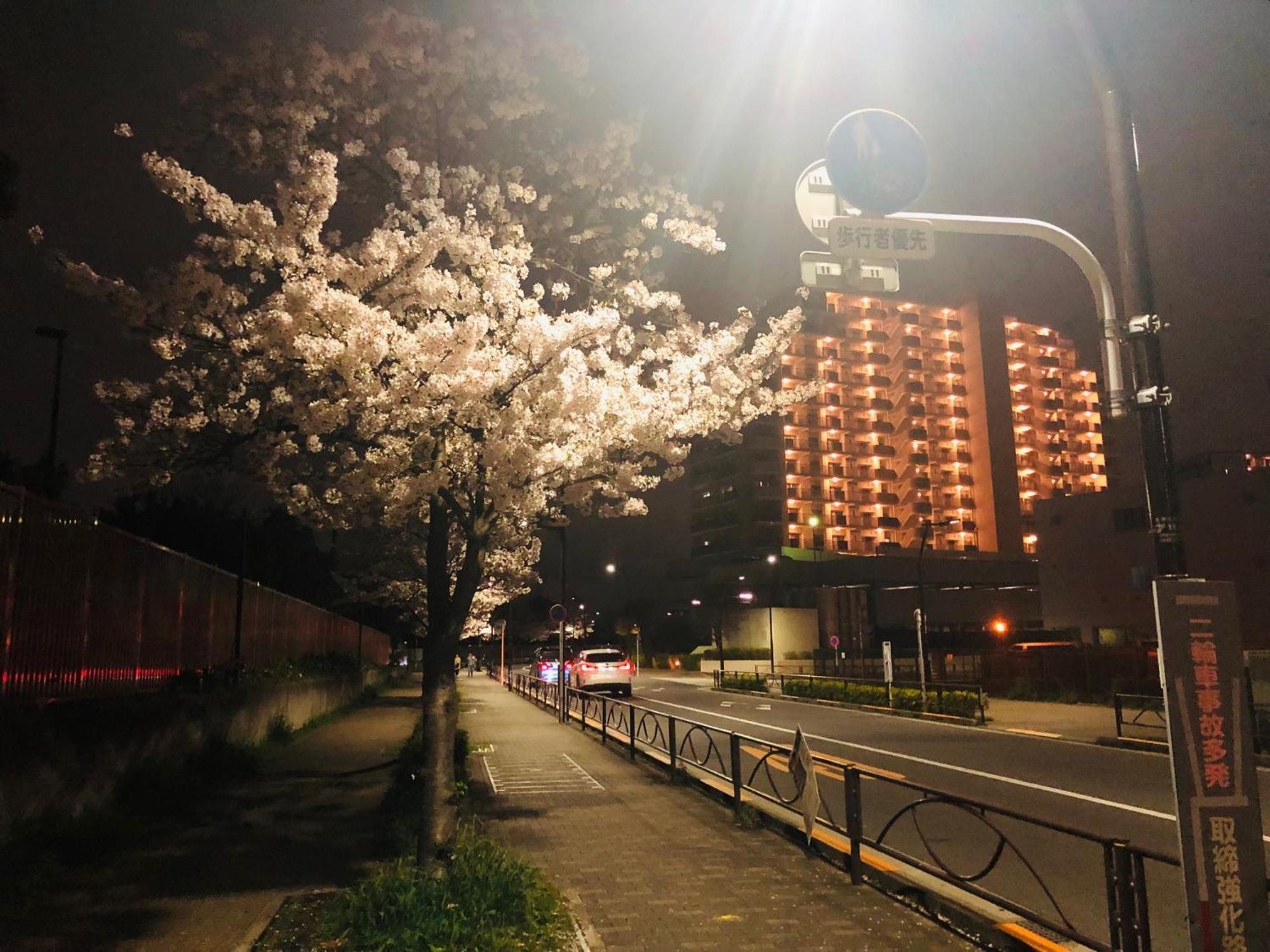 Jl 東京 House - 駐車場付き築浅のまるごと貸切住宅 Prefektura Tokio Exteriér fotografie
